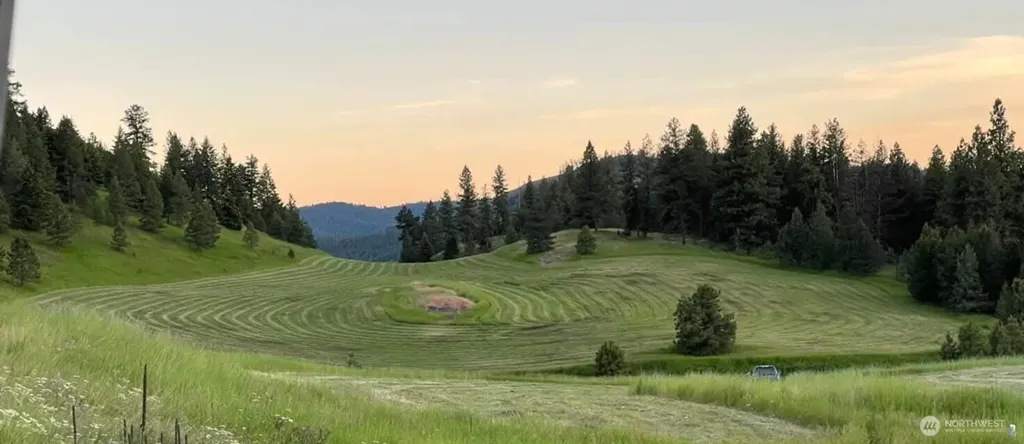 54 Hardrock Road Republic WA 99166