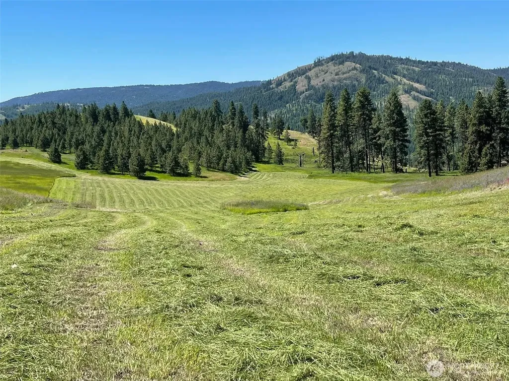 54 Hardrock Road Republic WA 99166