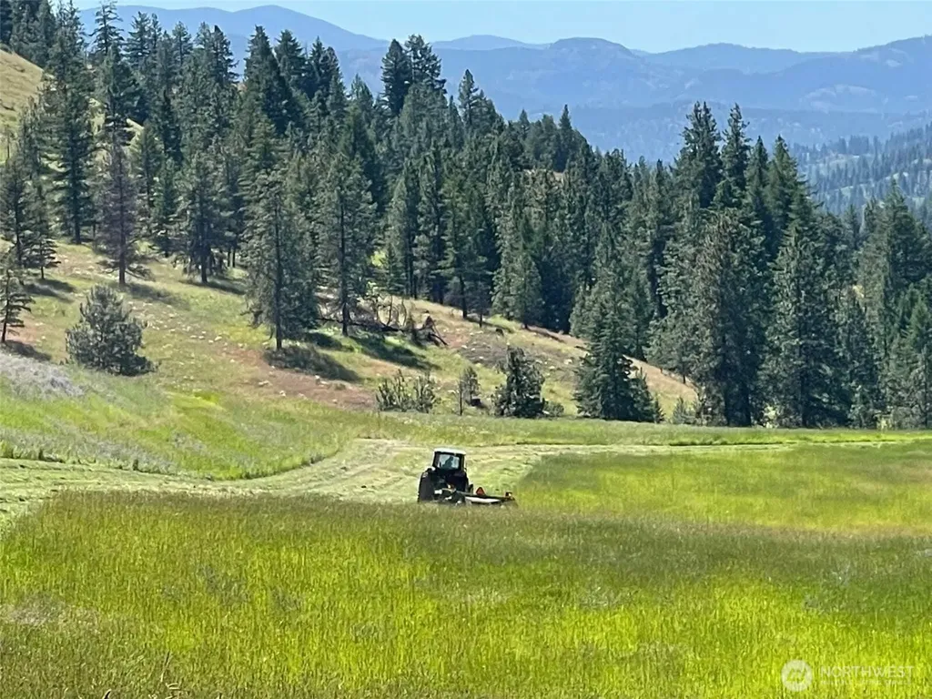 54 Hardrock Road Republic WA 99166