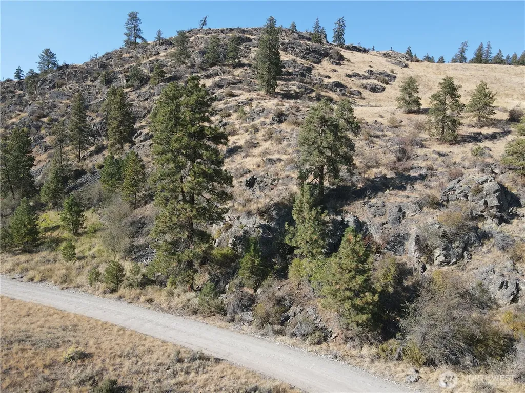 19 Meadowlark Road Oroville WA 98844