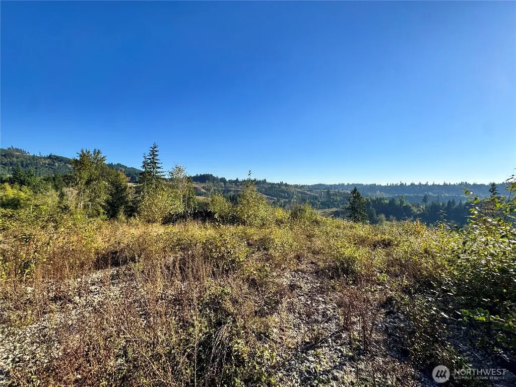 0 Grace Avenue Kelso WA 98626