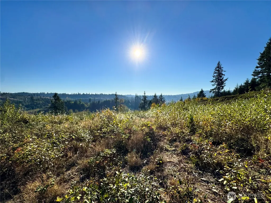 0 Grace Avenue Kelso WA 98626