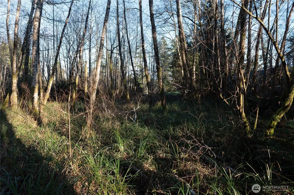 0 W Newell Avenue Westport WA 98595