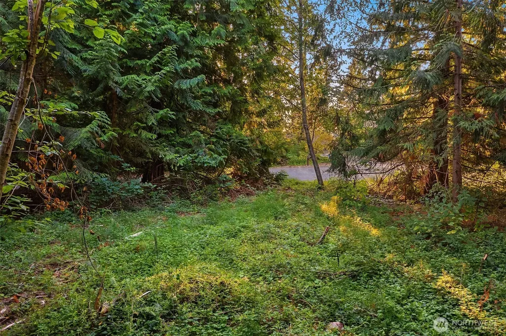 107 133rd Street SW Vashon WA 98070
