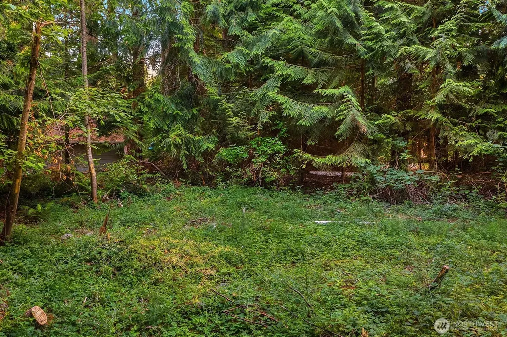 107 133rd Street SW Vashon WA 98070