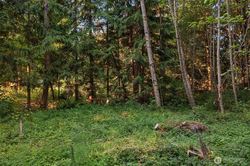 107 133rd Street SW Vashon WA 98070