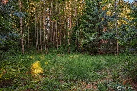 107 133rd Street SW Vashon WA 98070