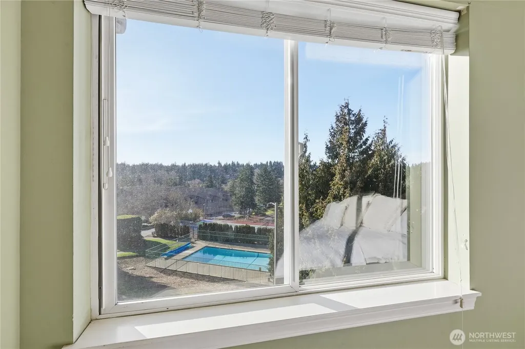 23007 Lakeview Drive Mountlake Terrace WA 98043