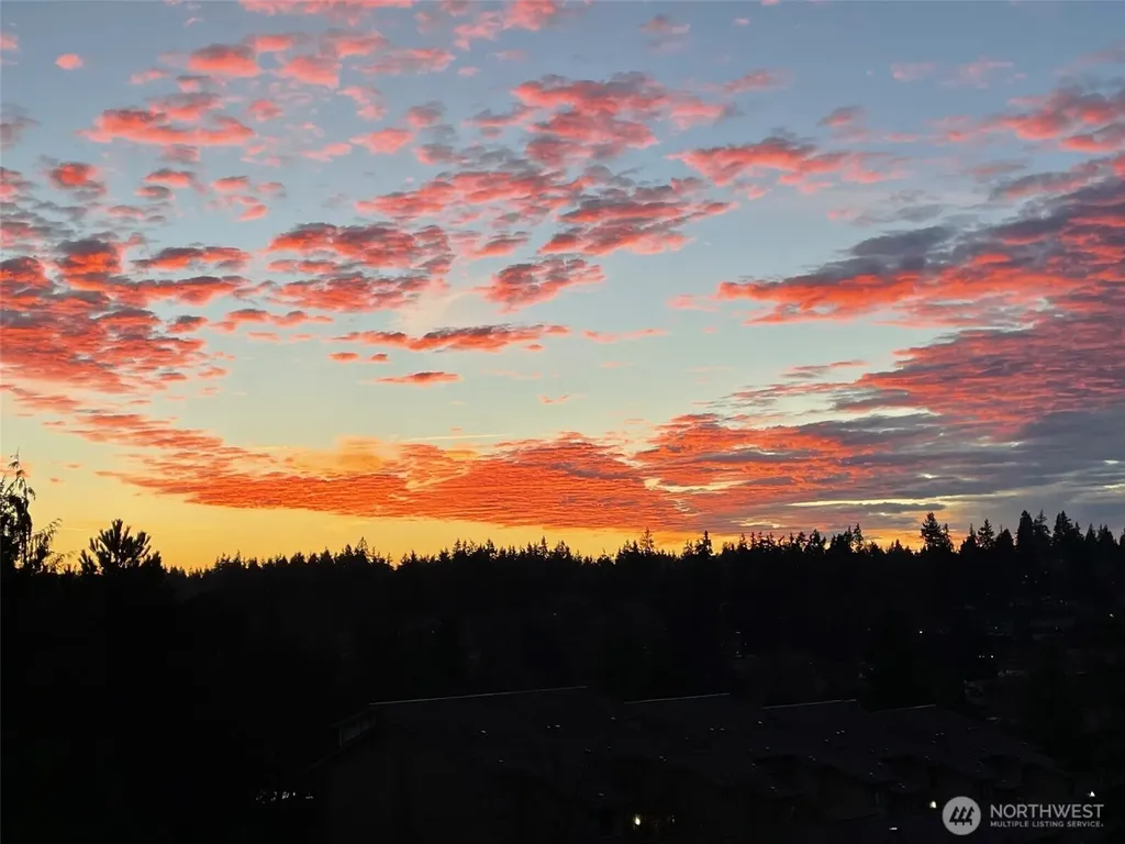 23007 Lakeview Drive Mountlake Terrace WA 98043