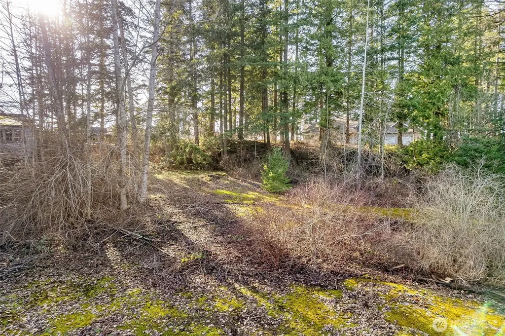 9088 Shipyard Lane Blaine WA 98230