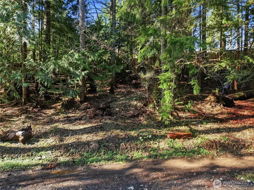 101 E Errigal Place Shelton WA 98584