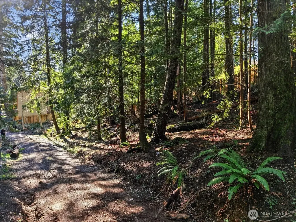 101 E Errigal Place Shelton WA 98584