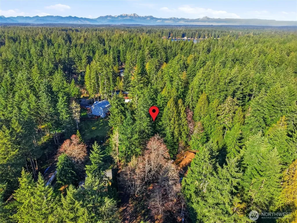101 E Errigal Place Shelton WA 98584