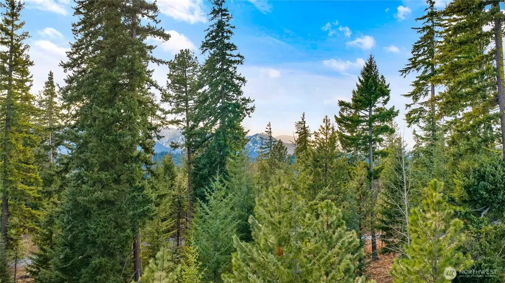 11 Red Sky Way Cle Elum WA 98922