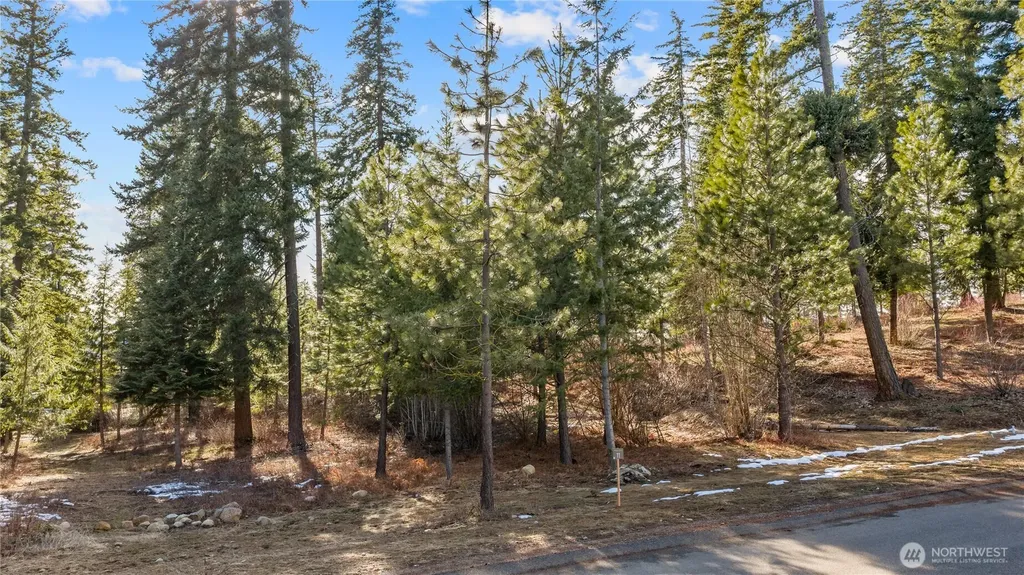11 Red Sky Way Cle Elum WA 98922