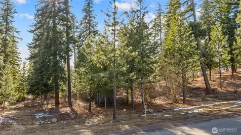 11 Red Sky Way Cle Elum WA 98922