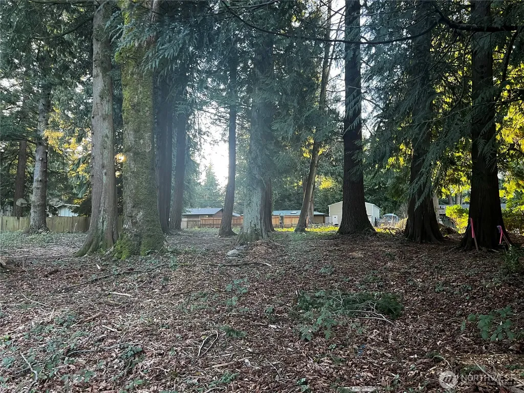 0 Forest View Drive Bellingham WA 98229