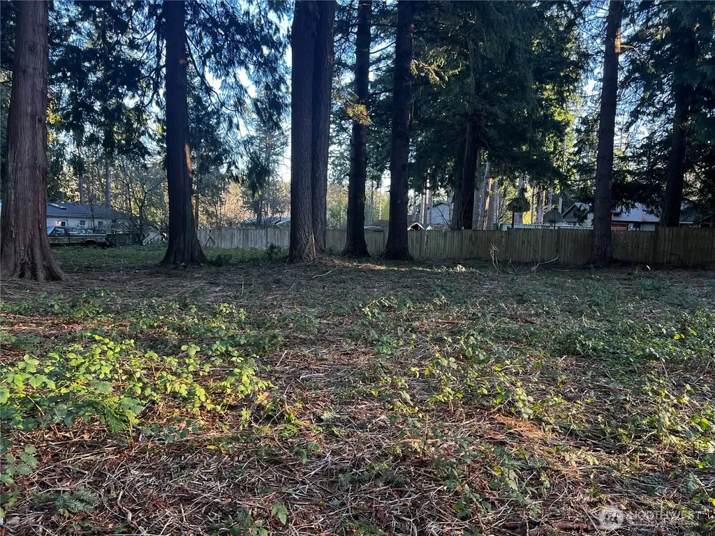 0 Forest View Drive Bellingham WA 98229