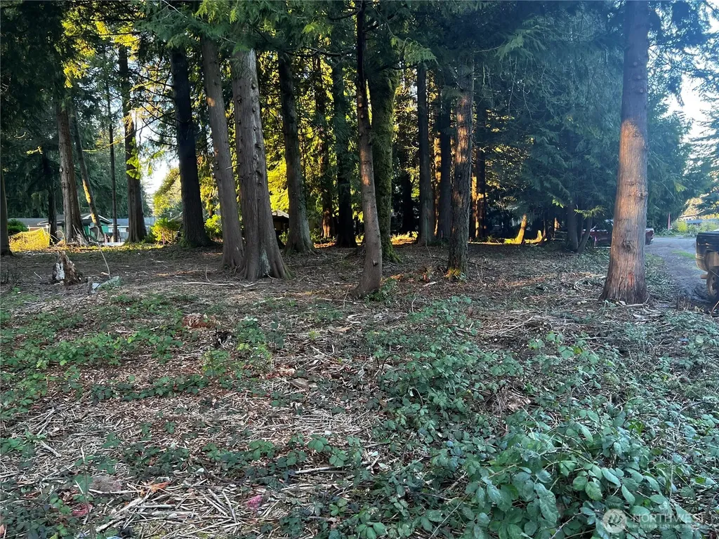 0 Forest View Drive Bellingham WA 98229