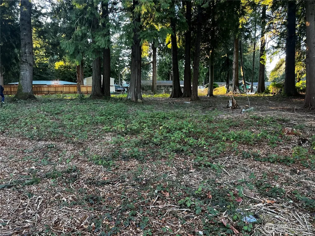 0 Forest View Drive Bellingham WA 98229