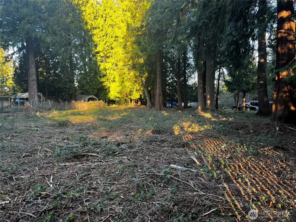 0 Forest View Drive Bellingham WA 98229