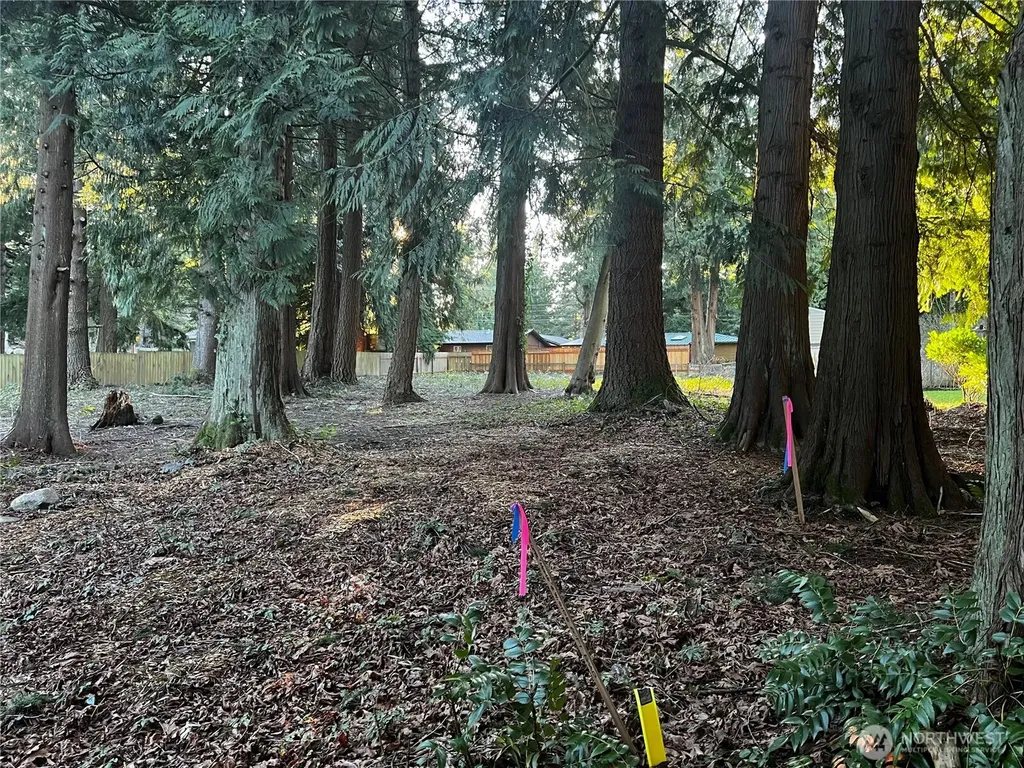 0 Forest View Drive Bellingham WA 98229