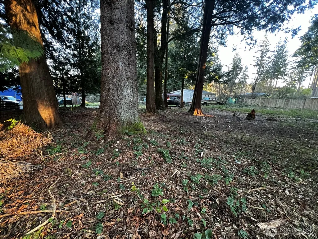 0 Forest View Drive Bellingham WA 98229