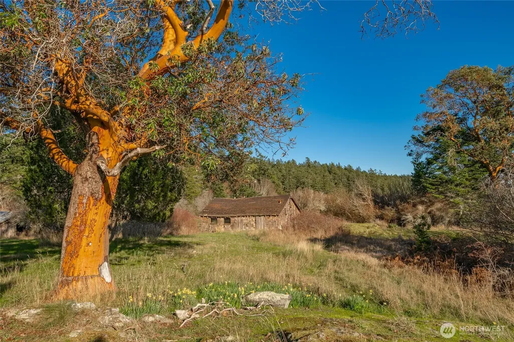 1014 Ben Nevis Loop Shaw Island WA 98286