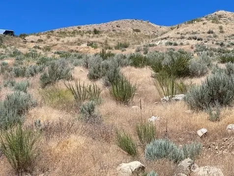 37 Osprey Nest Road Pateros WA 98846