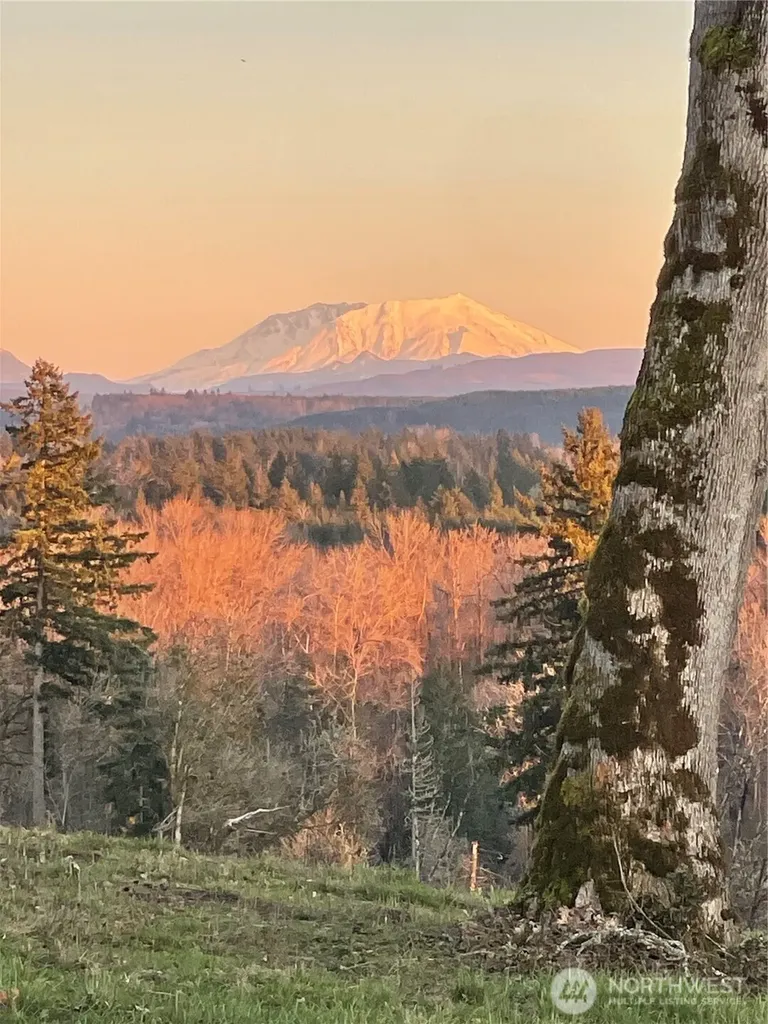 240 Rakoz Road Toledo WA 98591