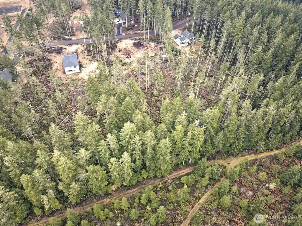 701 W Clear Lake Drive Shelton WA 98584