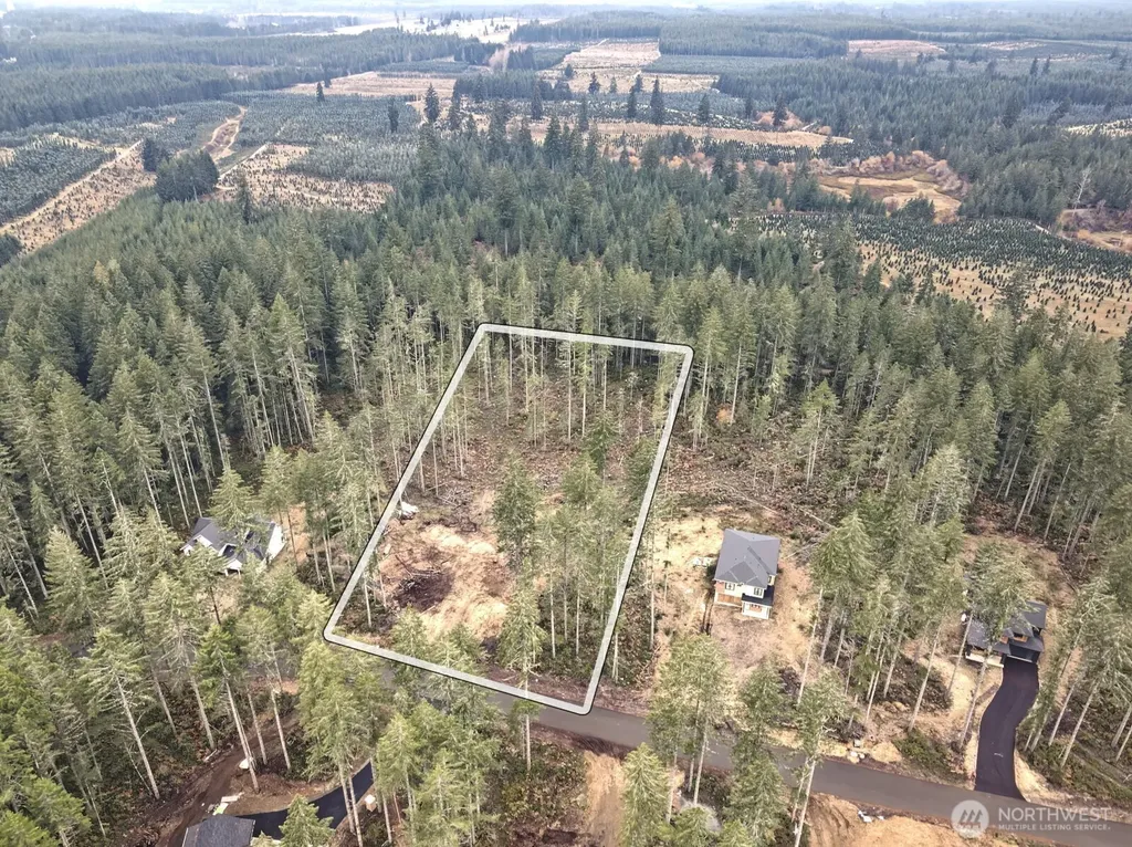 701 W Clear Lake Drive Shelton WA 98584