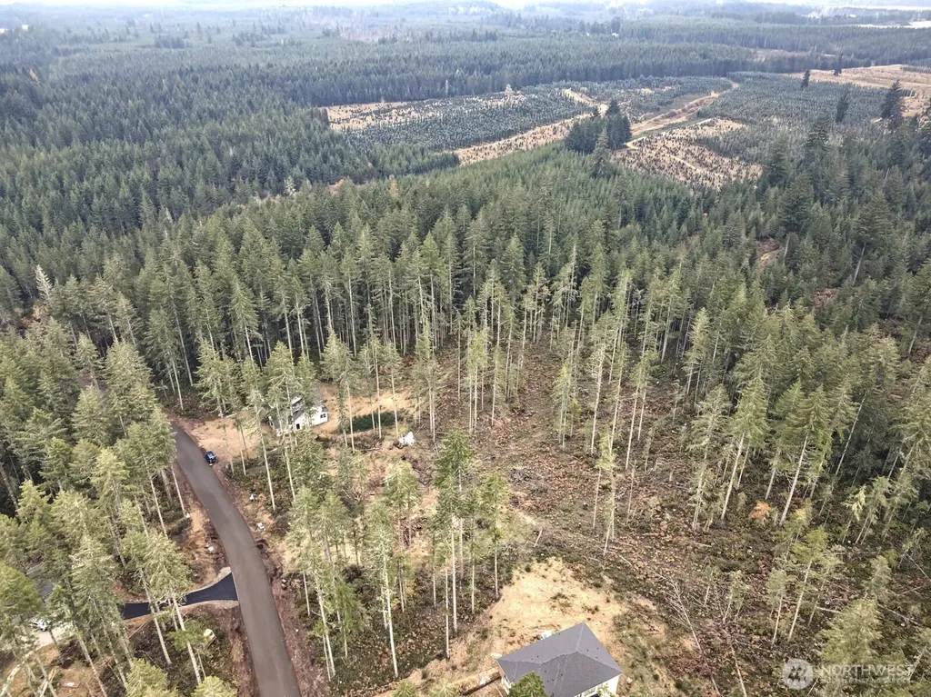 701 W Clear Lake Drive Shelton WA 98584