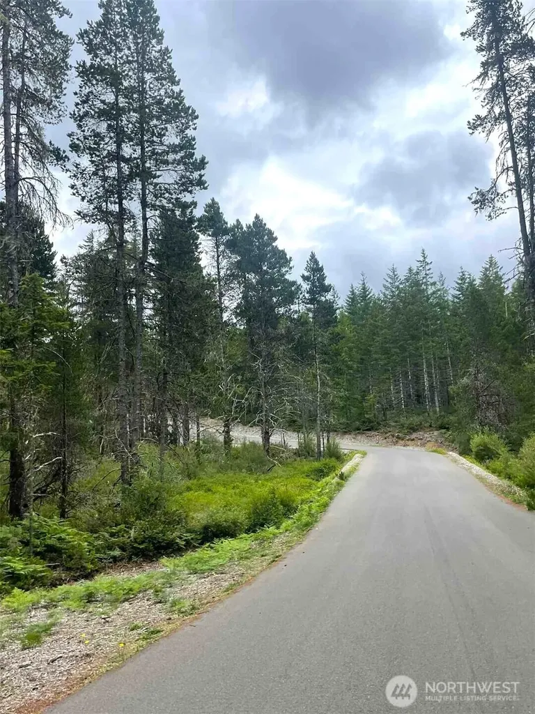 701 W Clear Lake Drive Shelton WA 98584