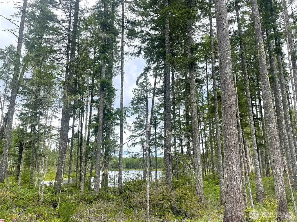 701 W Clear Lake Drive Shelton WA 98584