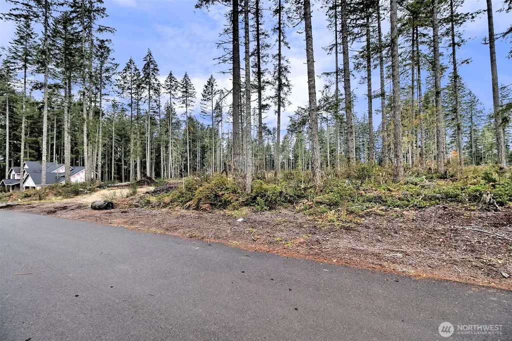 701 W Clear Lake Drive Shelton WA 98584