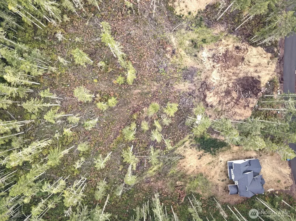701 W Clear Lake Drive Shelton WA 98584