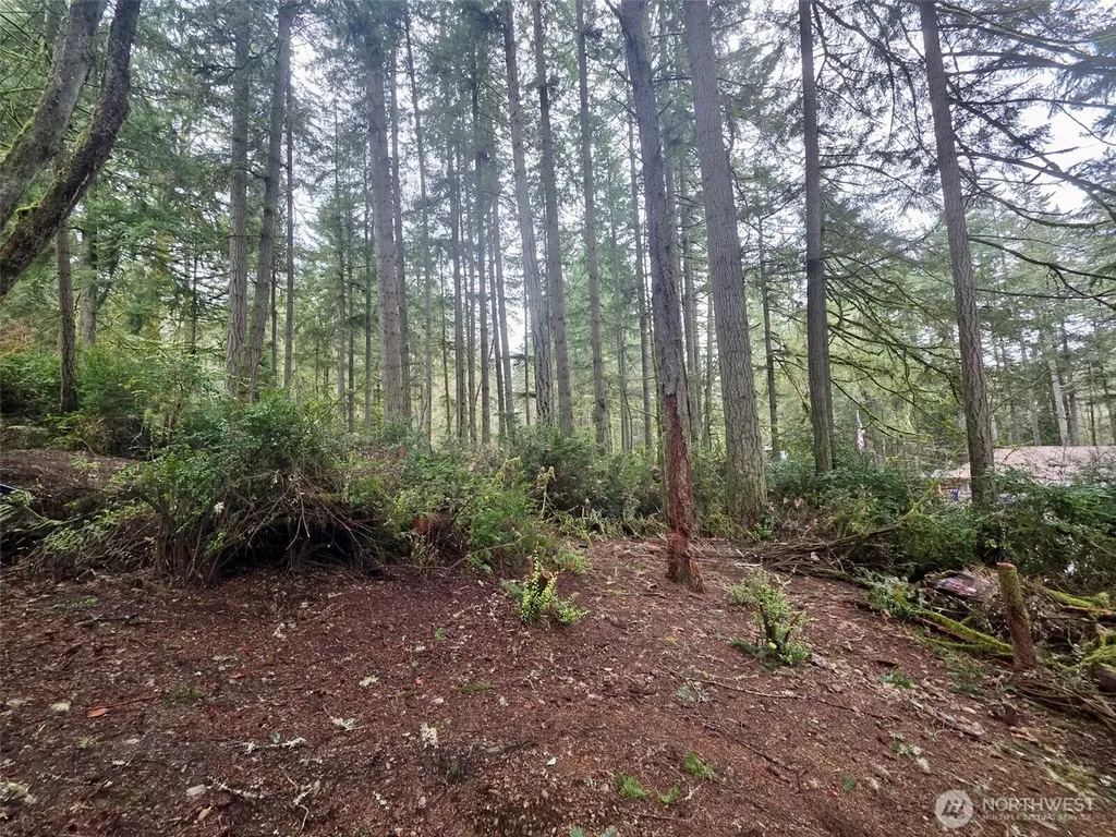 11312 Yoman Road Anderson Island WA 98303