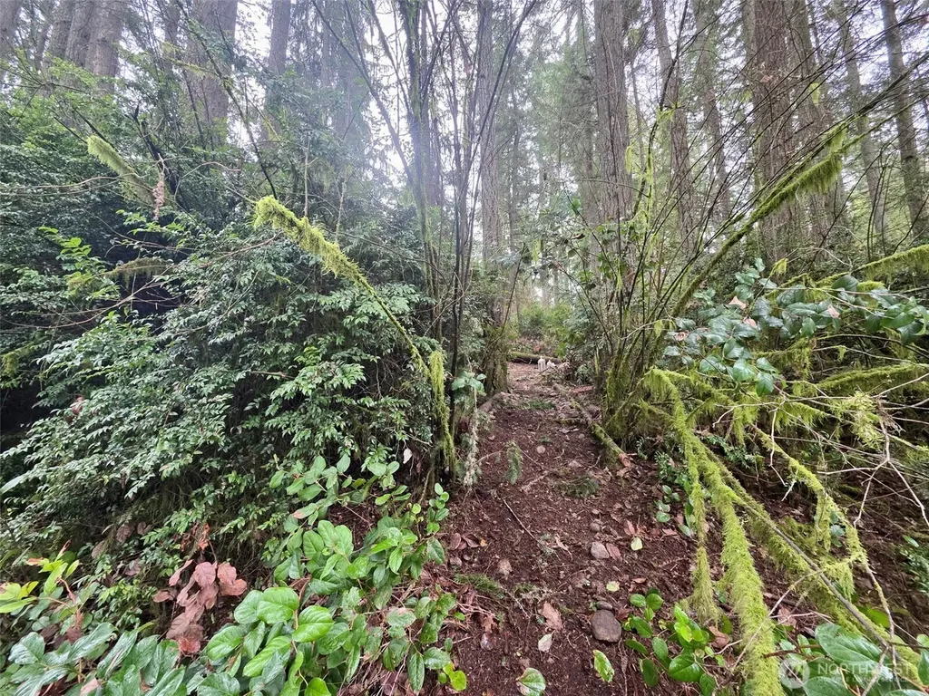 11312 Yoman Road Anderson Island WA 98303