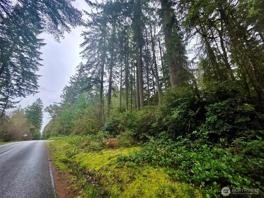 11312 Yoman Road Anderson Island WA 98303