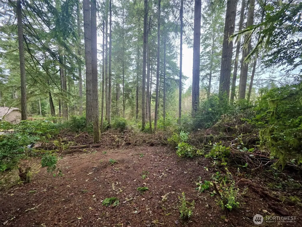 11312 Yoman Road Anderson Island WA 98303