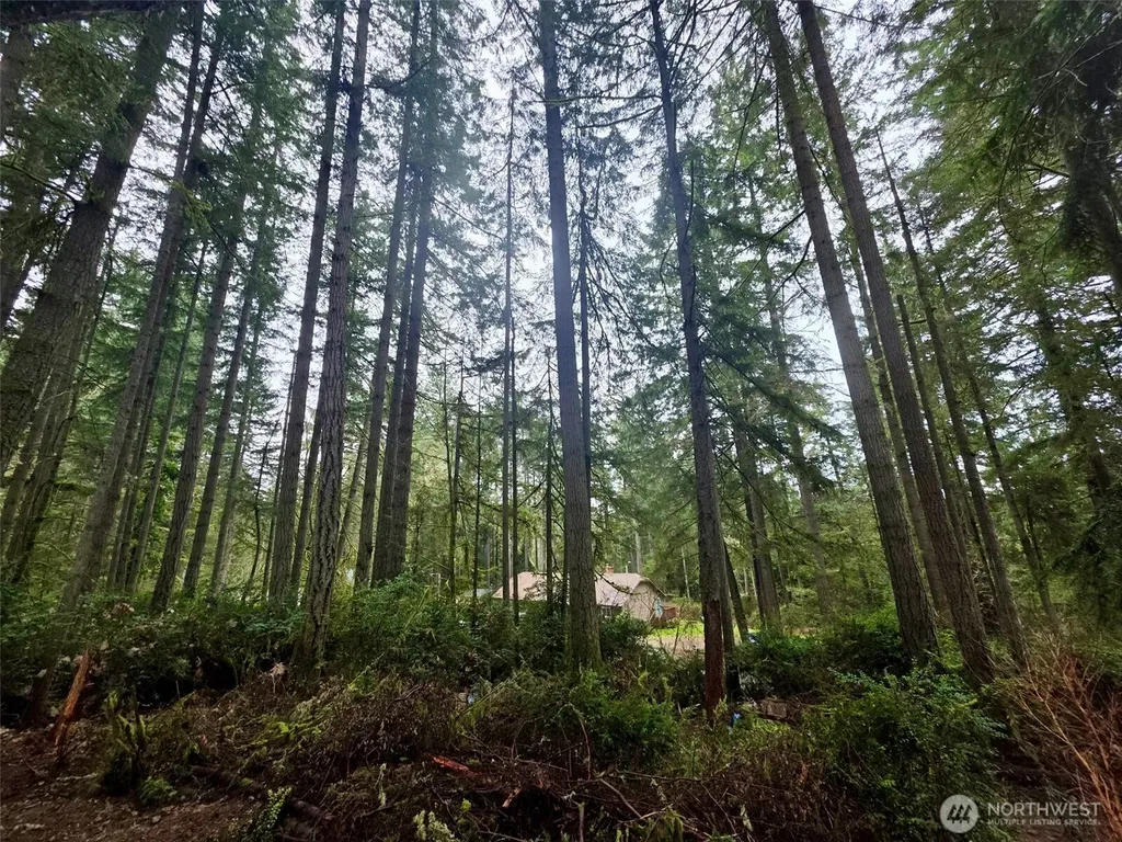 11312 Yoman Road Anderson Island WA 98303