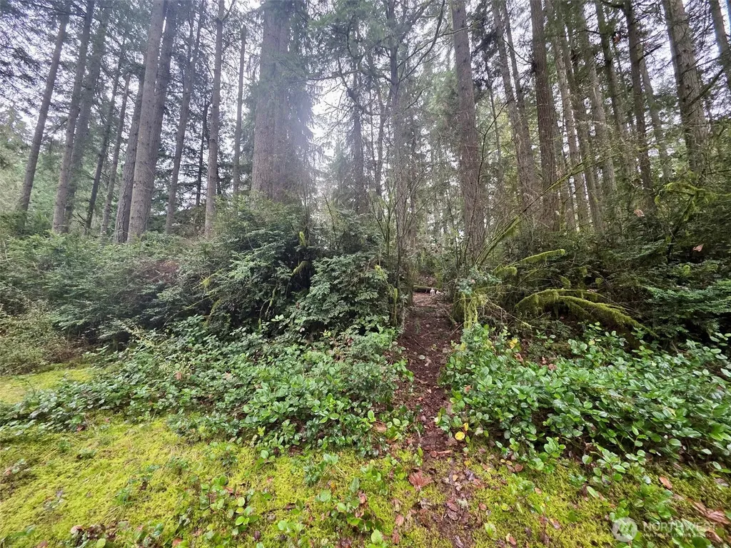 11312 Yoman Road Anderson Island WA 98303