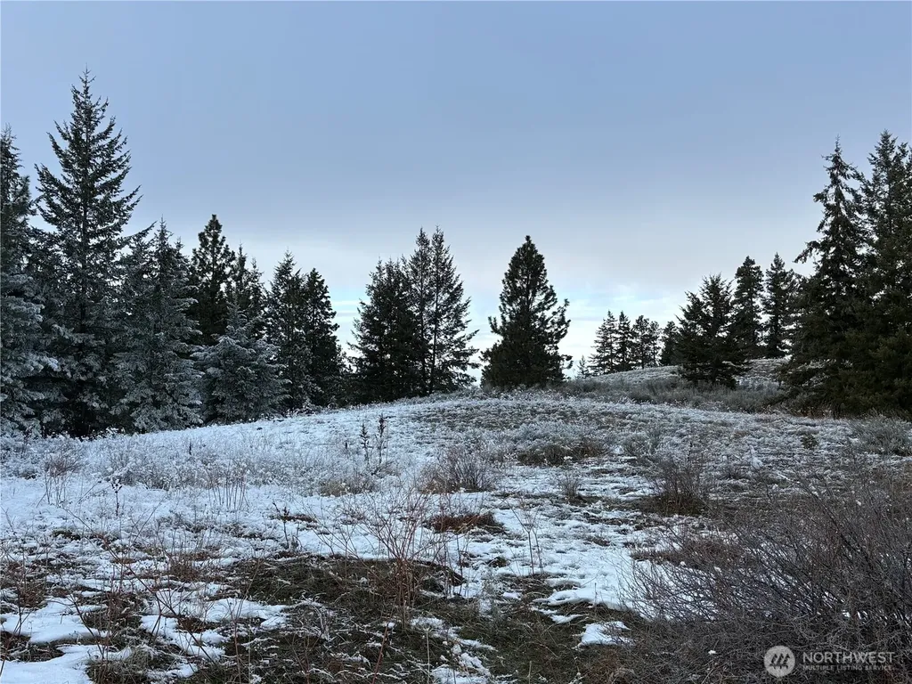 0 Redfield Road Waterville WA 98858