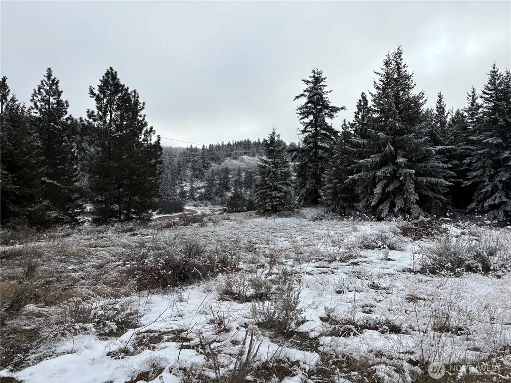 0 Redfield Road Waterville WA 98858