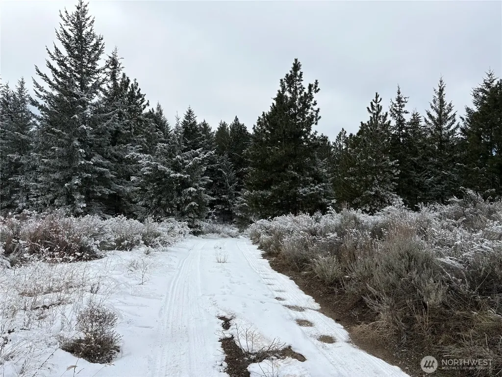 0 Redfield Road Waterville WA 98858