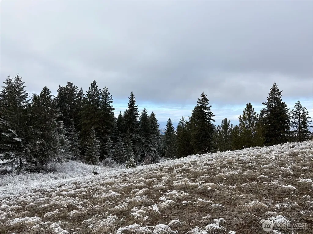 0 Redfield Road Waterville WA 98858
