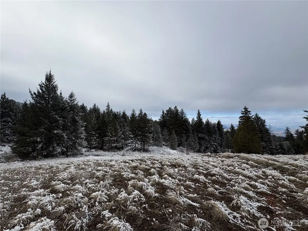 0 Redfield Road Waterville WA 98858