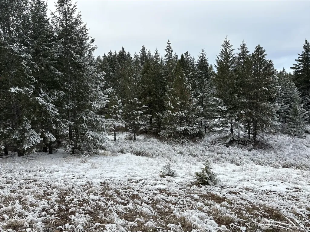 0 Redfield Road Waterville WA 98858