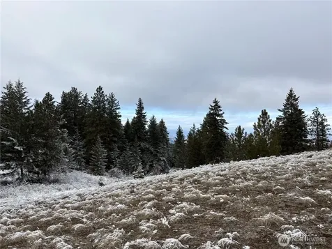 0 Redfield Road Waterville WA 98858
